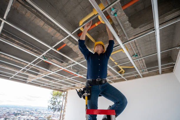 Best Best Plumbers Near Me  in Lake Orion, MI