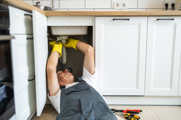 Best Same-Day Plumbing Service  in Lake Orion, MI